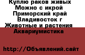 Куплю раков живых. Можно с икрой - Приморский край, Владивосток г. Животные и растения » Аквариумистика   